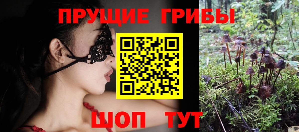 купить наркоту  Галлюциногенные грибы мицелий  Богданович  Вход с VPN  Галлюциногенные грибы MAGIC MUSHROOMS 